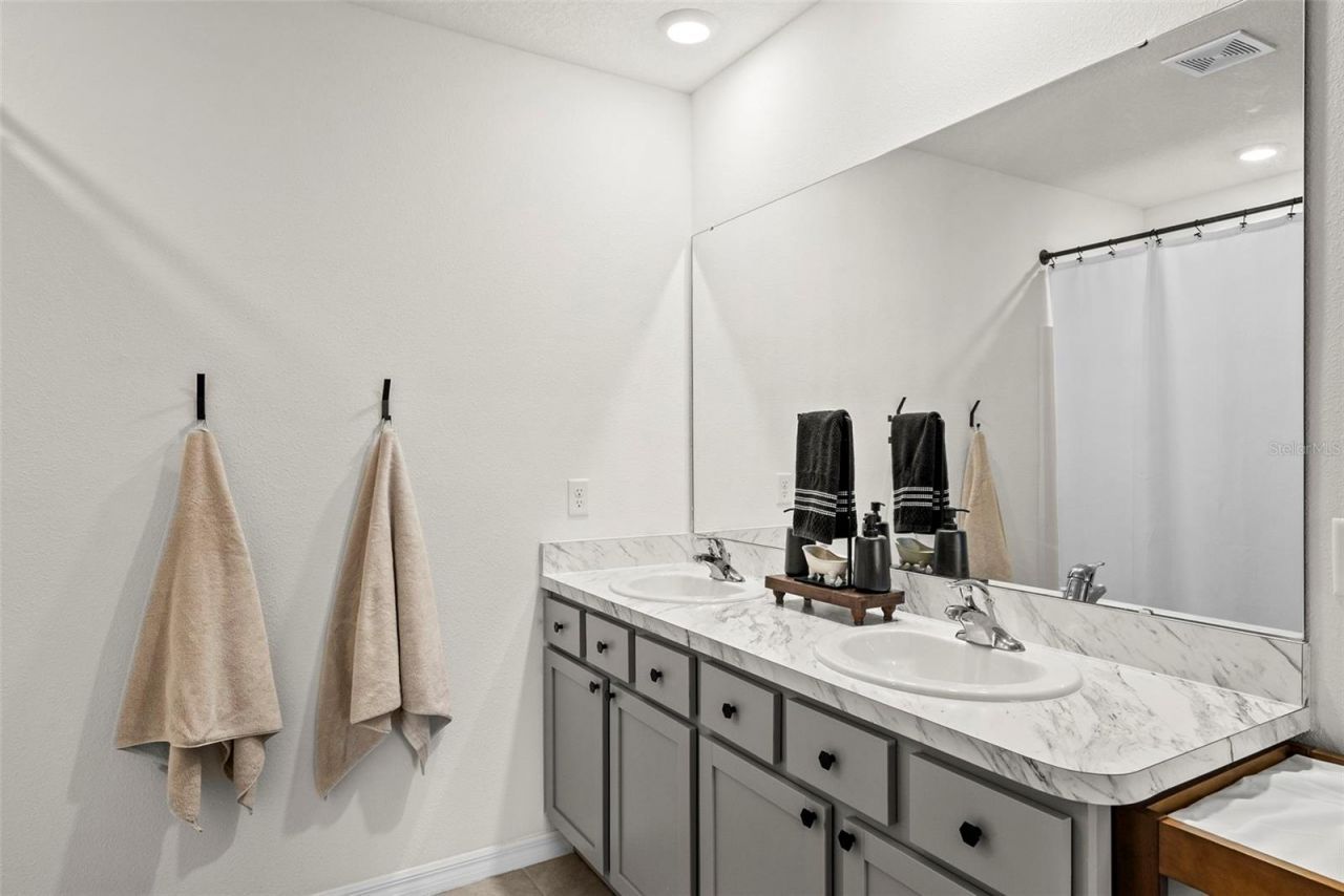 33607 Hamilton Hill Lane, Wesley Chapel, FL 33545 Photo