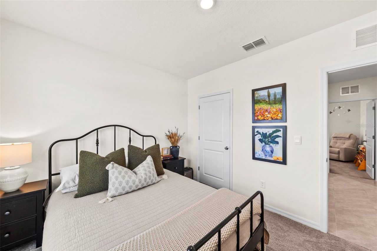 33607 Hamilton Hill Lane, Wesley Chapel, FL 33545 Photo