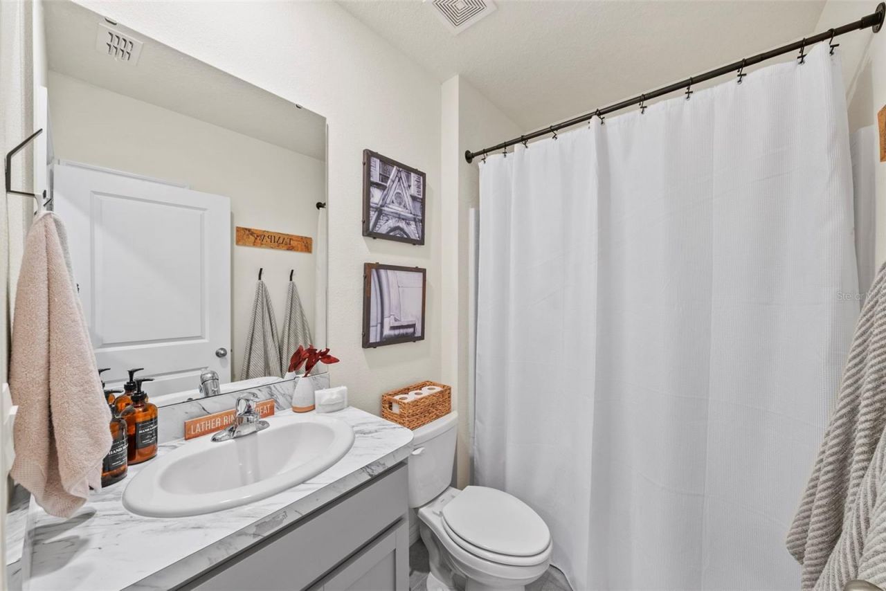 33607 Hamilton Hill Lane, Wesley Chapel, FL 33545 Photo