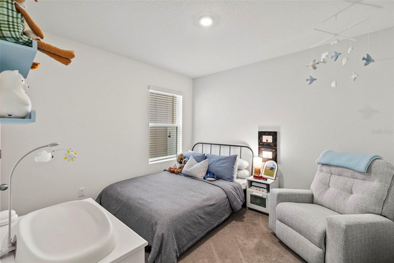 33607 Hamilton Hill Lane, Wesley Chapel, FL 33545 Photo