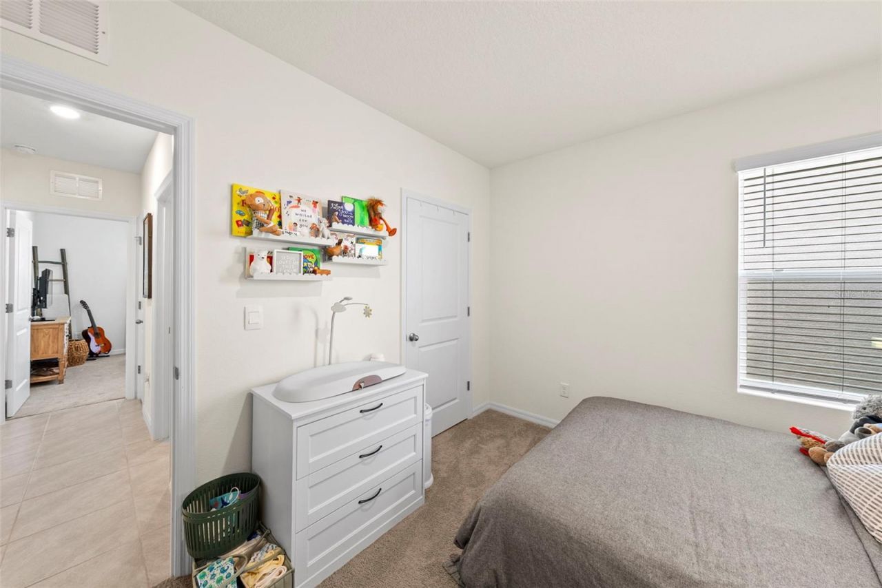 33607 Hamilton Hill Lane, Wesley Chapel, FL 33545 Photo