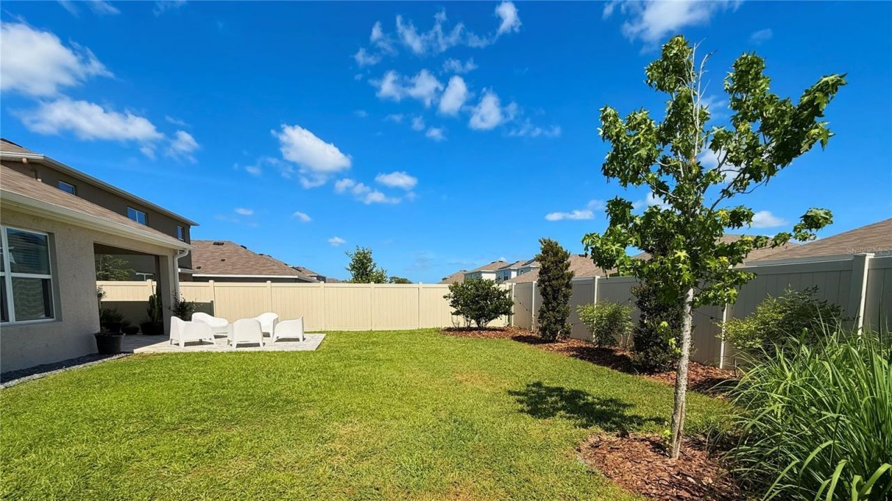 33607 Hamilton Hill Lane, Wesley Chapel, FL 33545 Photo