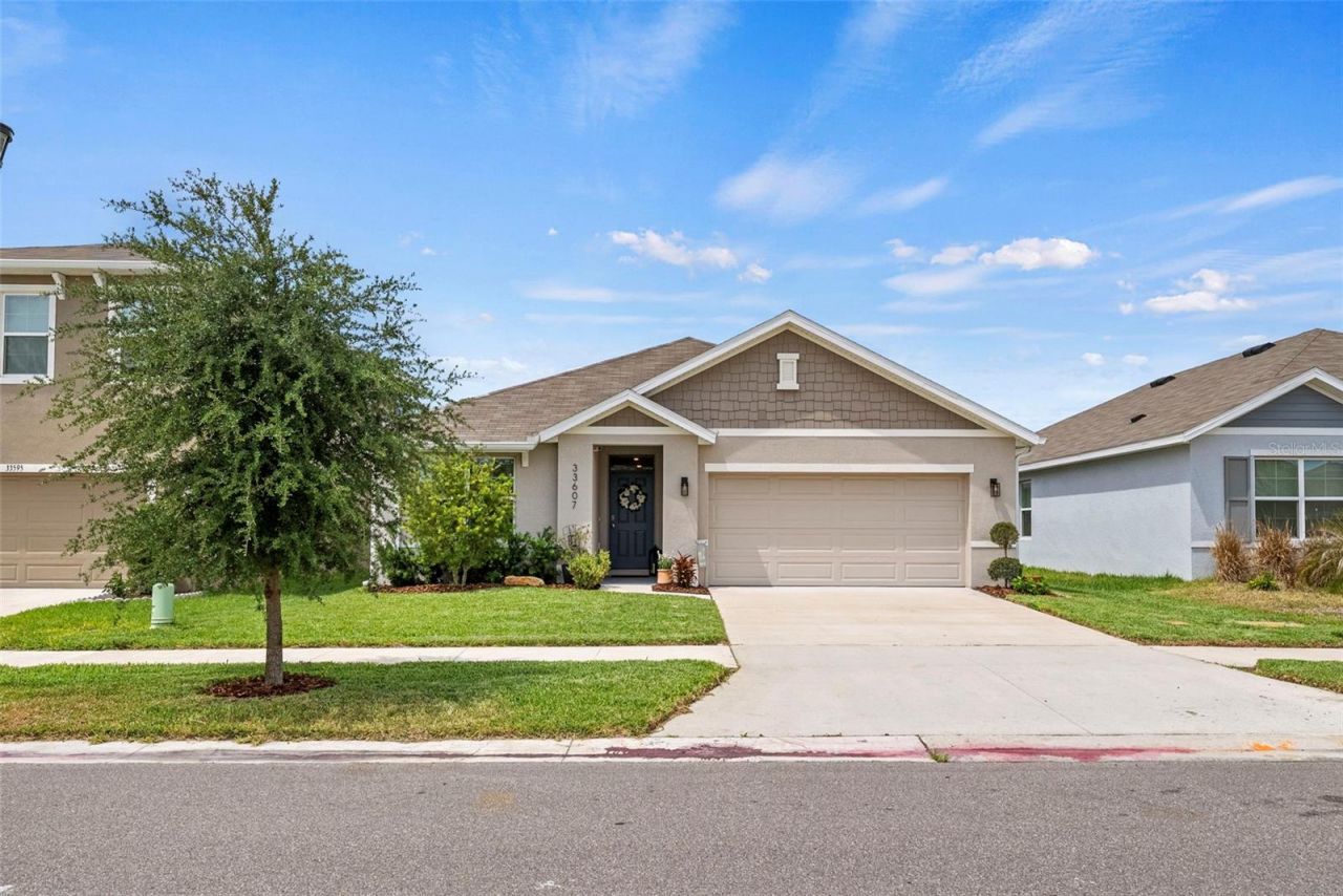 33607 Hamilton Hill Lane, Wesley Chapel, FL 33545 Photo