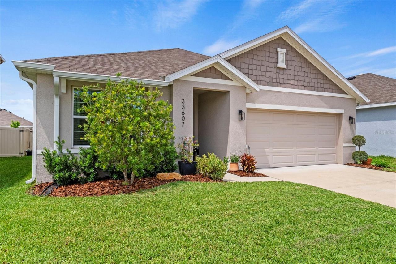 33607 Hamilton Hill Lane, Wesley Chapel, FL 33545 Photo