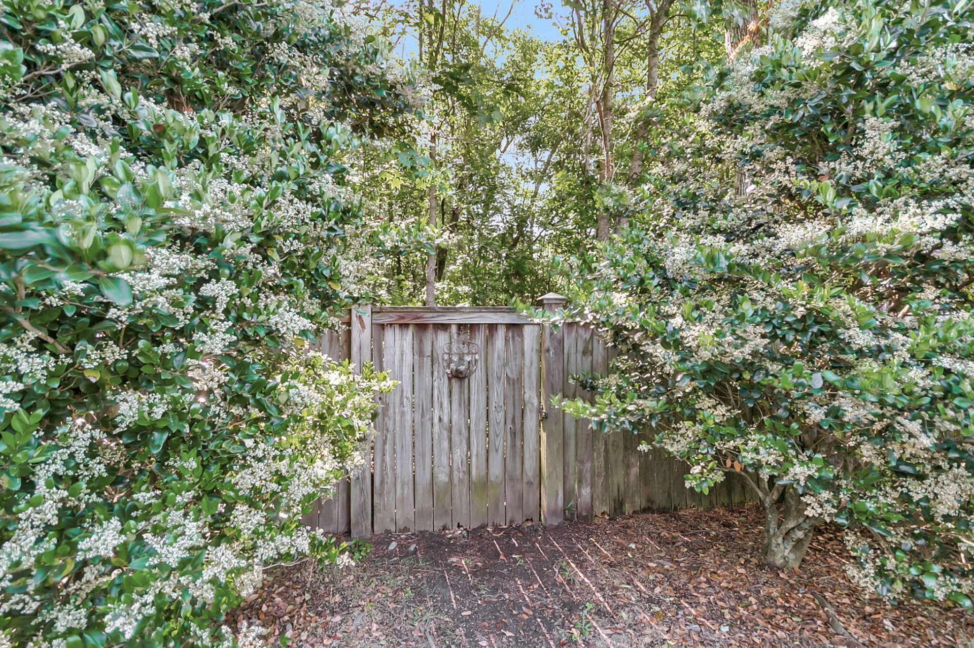 126 Cannonsmill Lane Photo 40