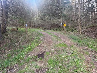 Bramley Mountain Road, Delhi, NY 13753