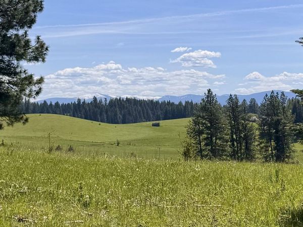 TBD Harris Ridge Rd - Parcel 4, Kooskia, ID 83539