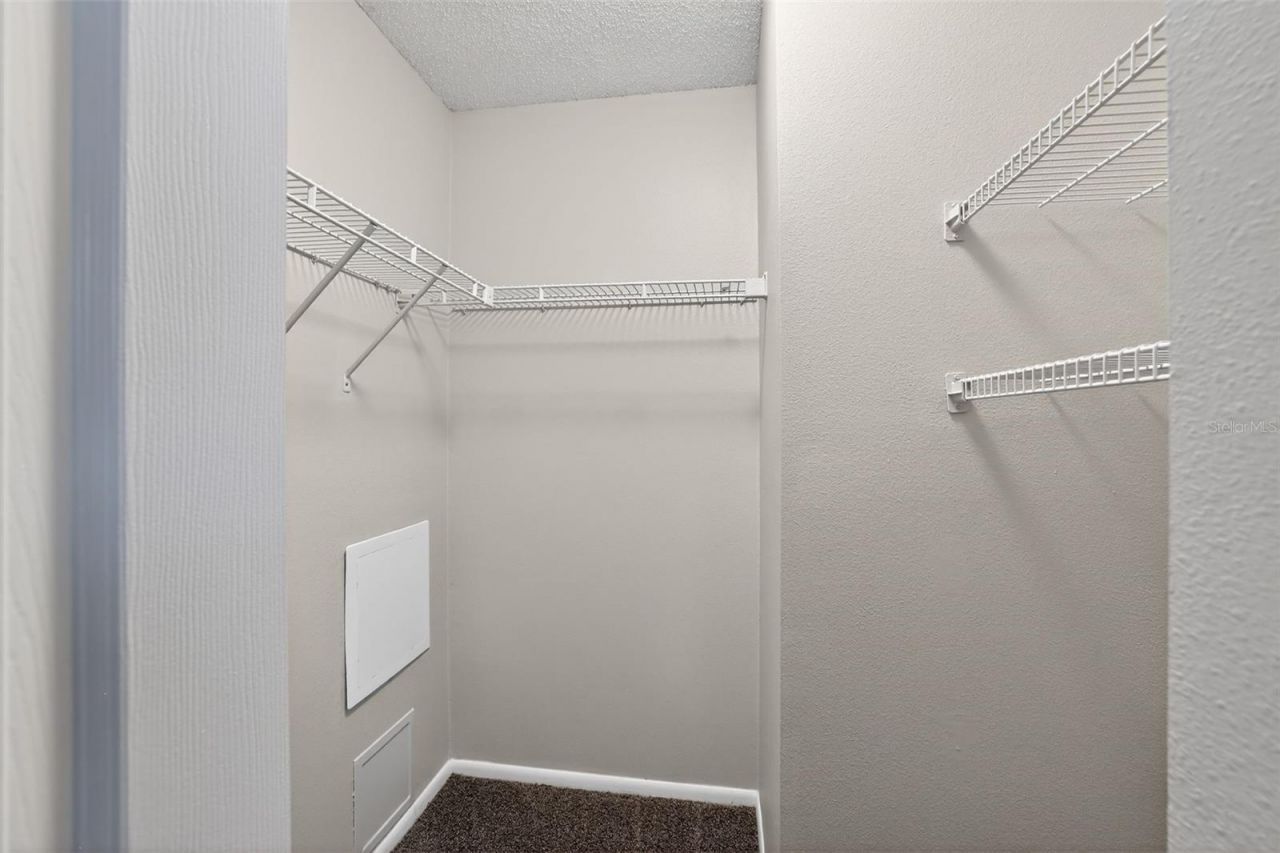1404 Vinetree Drive , Brandon, FL 33510 Photo
