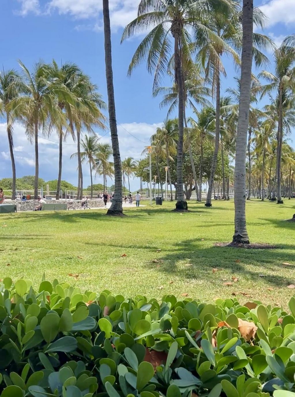 901 Collins Avenue, Unit 209, Miami Beach, FL 33139 Photo