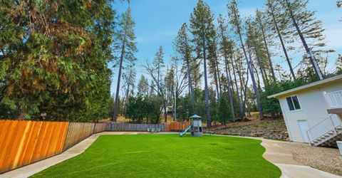 12880 Tabeau Ct, Pine Grove, CA 95665 Photo
