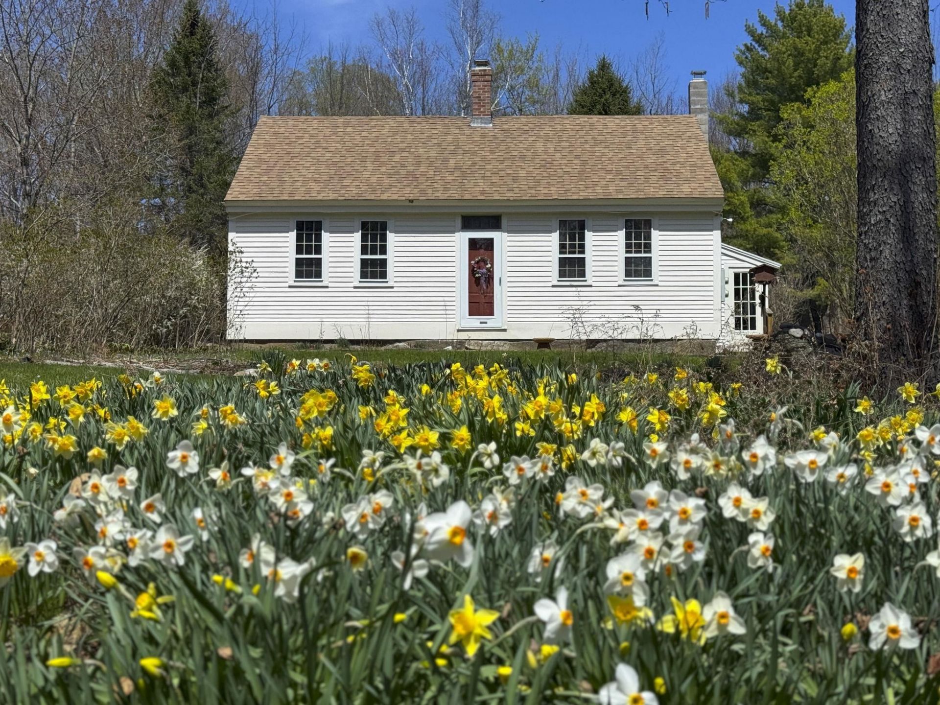 334 Brush Brook Road, Dublin, NH 03444 Main Photo