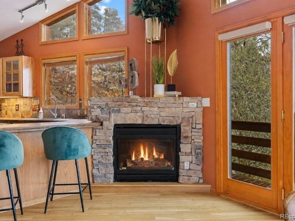 745 N Pine Drive, Bailey, CO 80421
