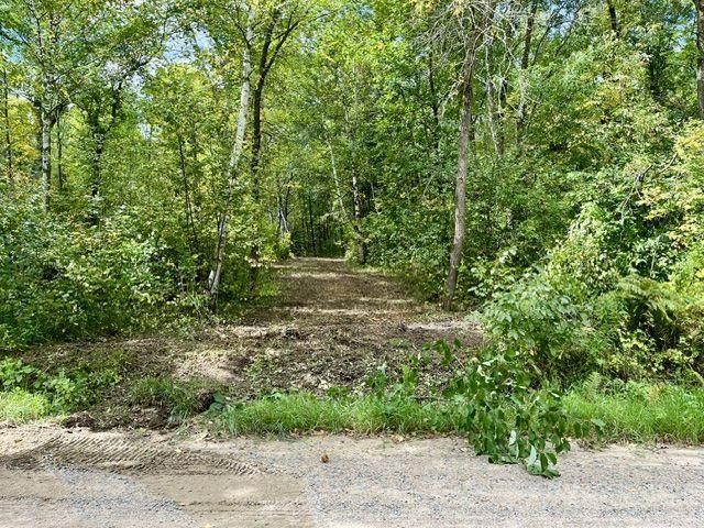 Tbd N Courage Dr (lot16), Lake George, MN 56458 Main Photo