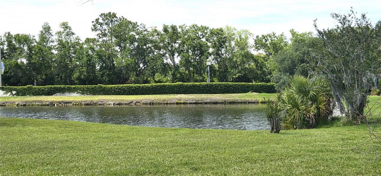 3904 Hidden Spring Place , Valrico, FL 33596 Photo