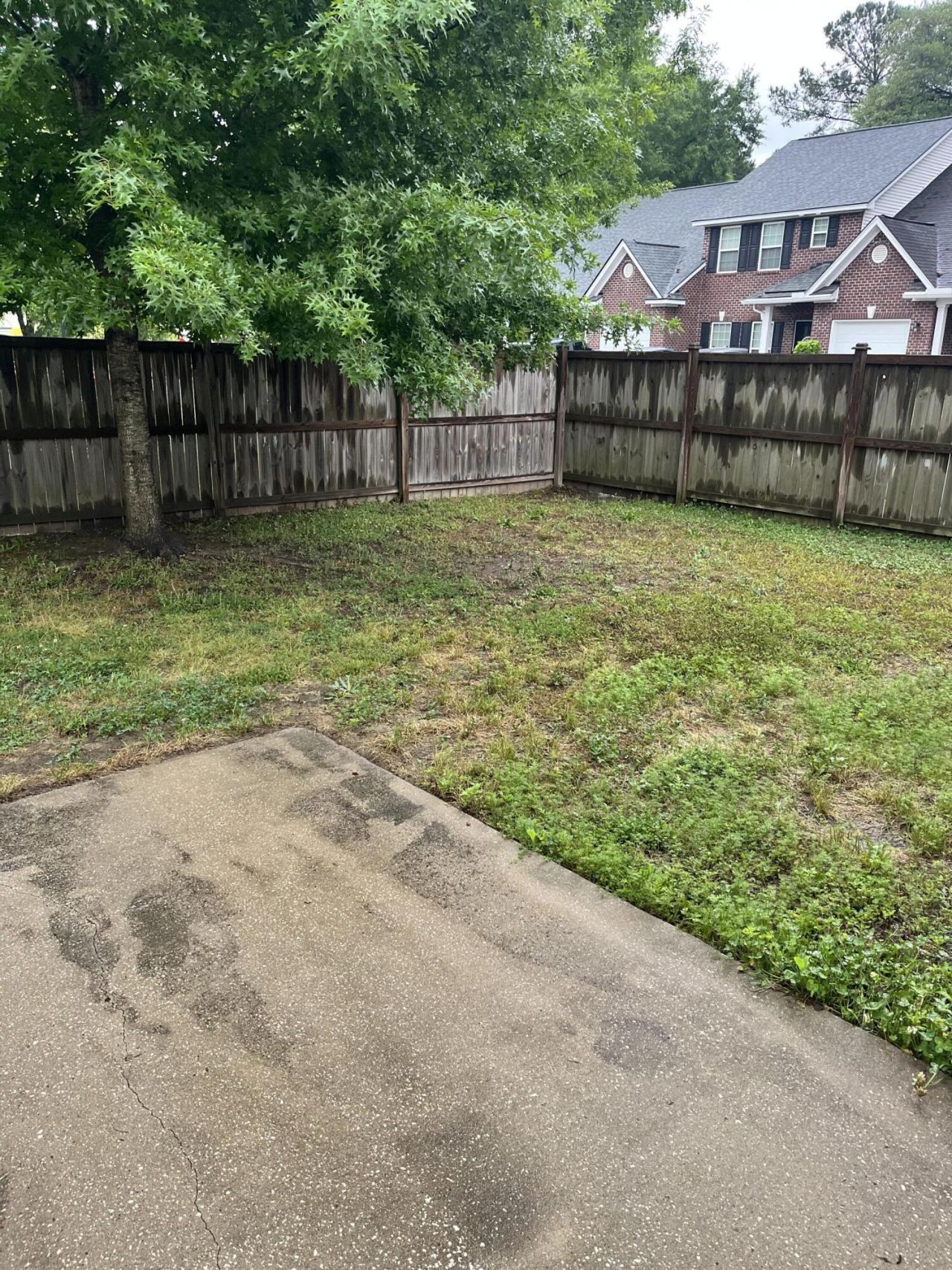 204 Tuscany Court Photo 26