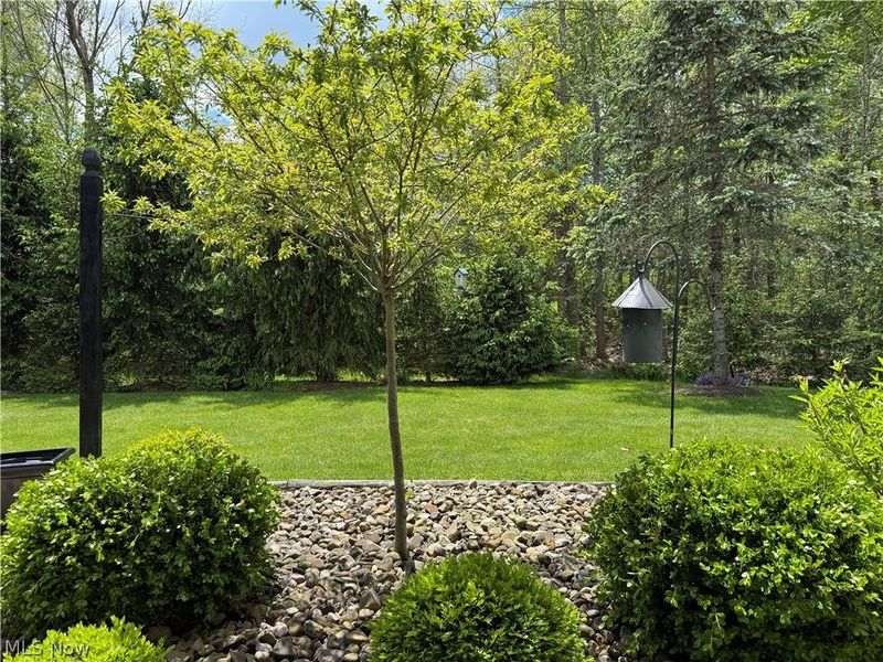27 D Hunters Woods Drive, Canfield, OH 44406 Photo 33