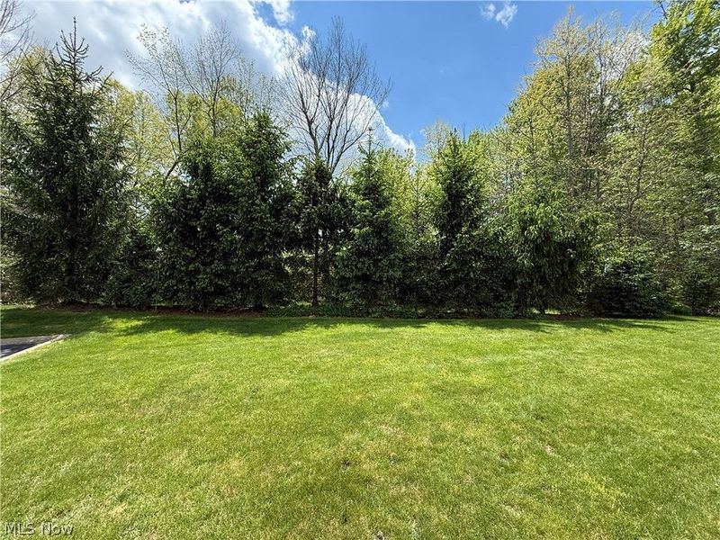 27 D Hunters Woods Drive, Canfield, OH 44406 Photo 36