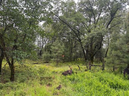 2401 Campo Flores Lane, West Point, CA 95225 Photo