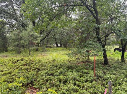 2401 Campo Flores Lane, West Point, CA 95225 Photo