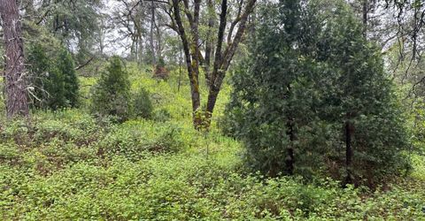 2401 Campo Flores Lane, West Point, CA 95225 Photo