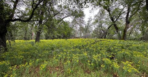 2401 Campo Flores Lane, West Point, CA 95225 Photo