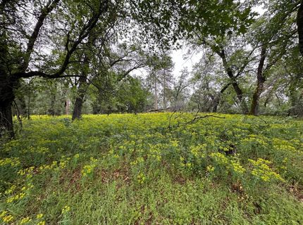 2401 Campo Flores Lane, West Point, CA 95225 Photo