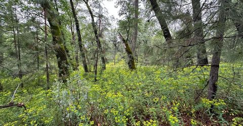 2401 Campo Flores Lane, West Point, CA 95225 Photo