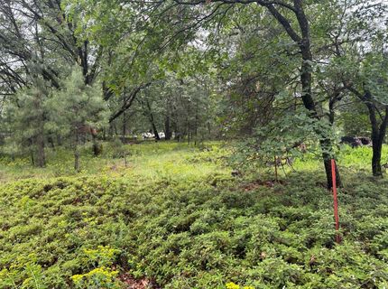 2401 Campo Flores Lane, West Point, CA 95225 Photo