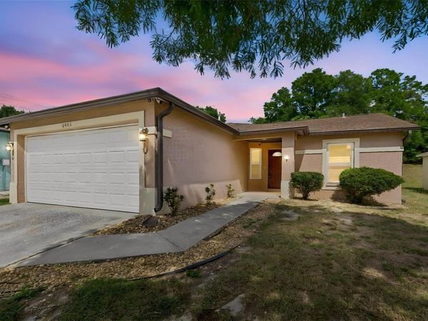 8445 N RIVER DUNE STREET , TAMPA, FL 33617