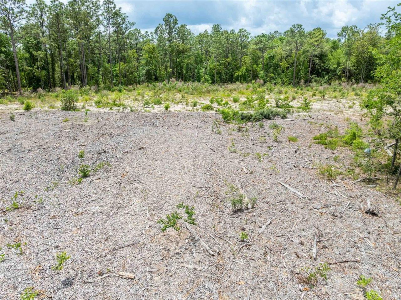 15022 Gar Street , Spring Hill, FL 34609 Photo