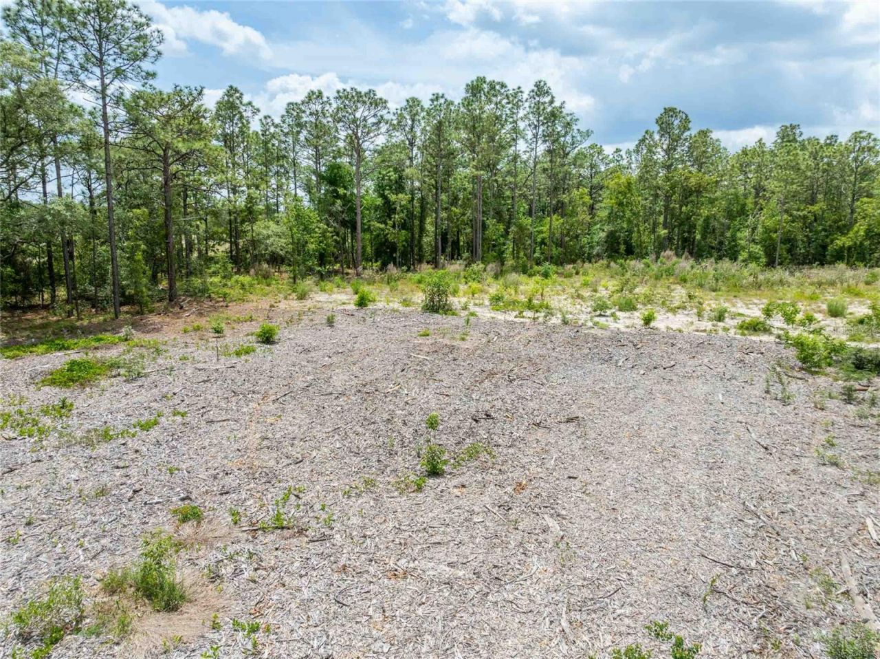 15022 Gar Street , Spring Hill, FL 34609 Photo