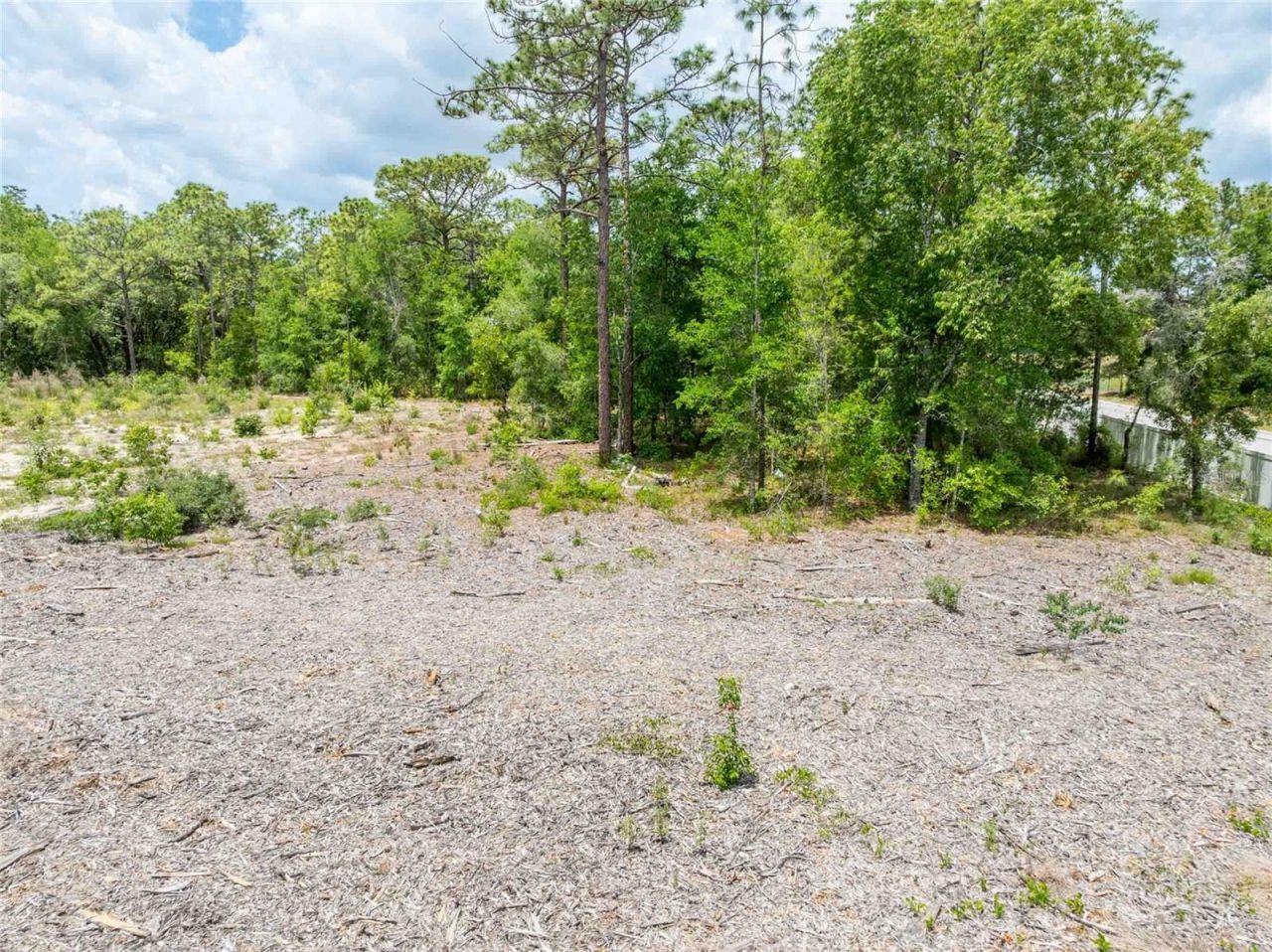 15022 Gar Street , Spring Hill, FL 34609 Photo