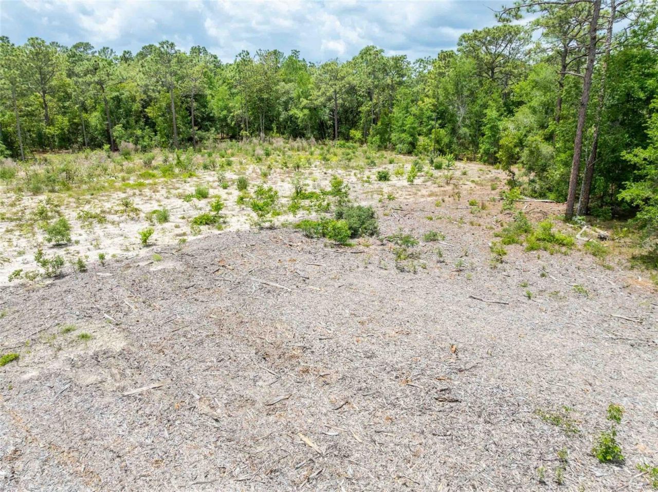 15022 Gar Street , Spring Hill, FL 34609 Photo