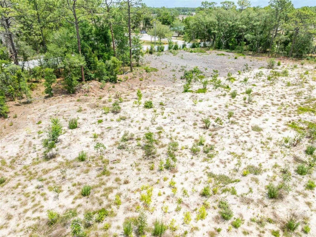 15022 Gar Street , Spring Hill, FL 34609 Photo