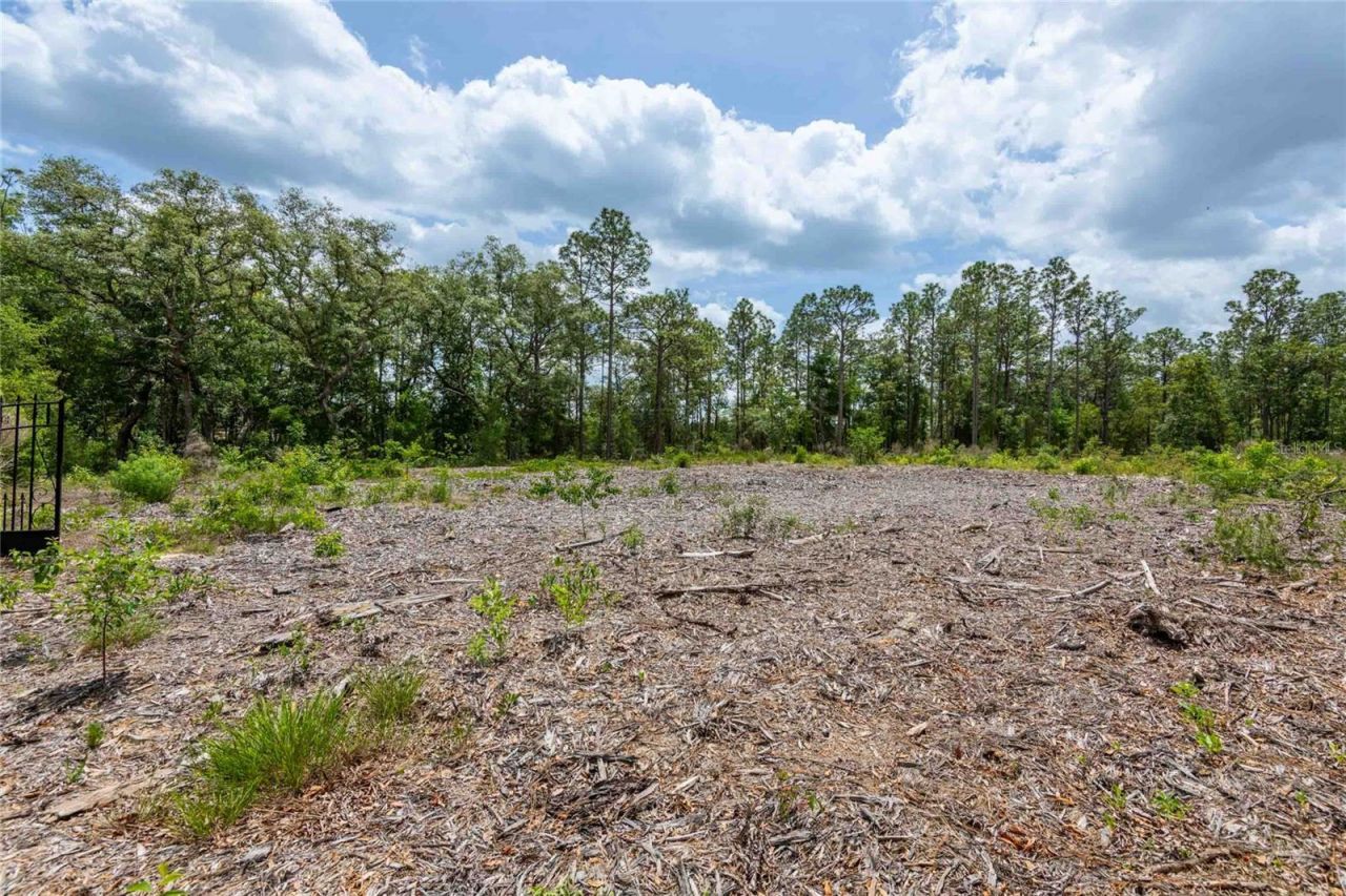 15022 Gar Street , Spring Hill, FL 34609 Photo