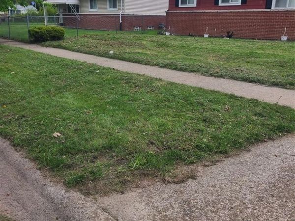 1311 Nash Avenue, York Twp, MI 48198