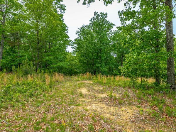 0 Moonlight Lane, Jasper, TN 37347
