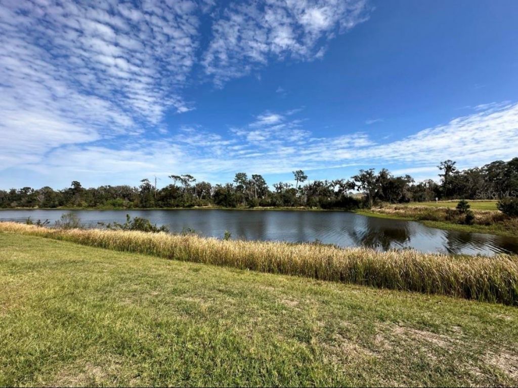 Please Call For Address, Wimauma, FL 33598 Photo