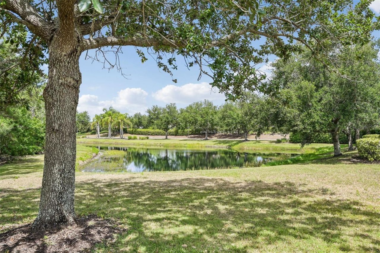 11718 Forest Park Circle, Bradenton, FL 34211 Photo