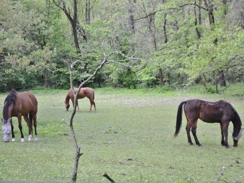 3261 S River Road, South Charleston, OH 45368 Photo 3
