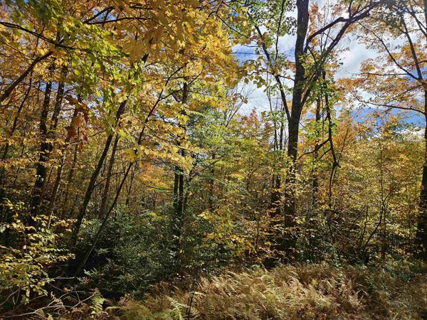 Lot 26 Presidential View Lane, Bethlehem, NH 03574