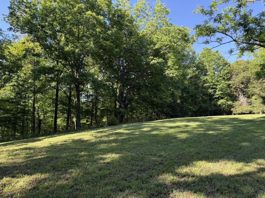 Property Image 45