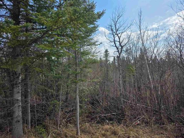 5191 Onaway Road, Indian River, MI 49749