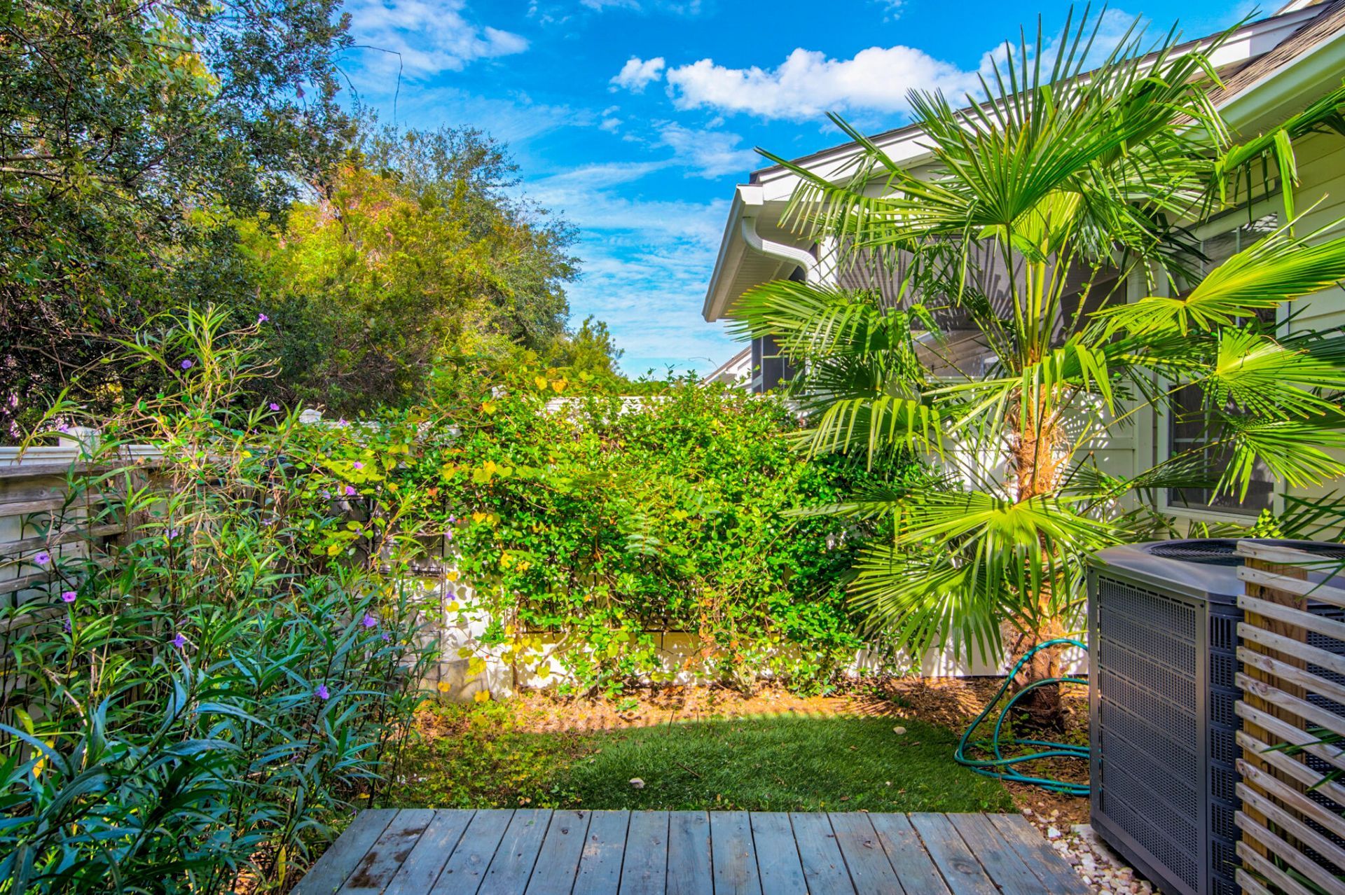 135 Dorothy Drive Photo 6