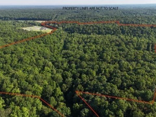 201 Post Rd , Waverly, TN 37185