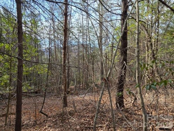 Lot 6 Kerlee Lane , Old Fort, NC 28762
