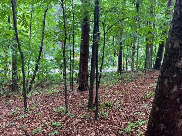 0 Lake Club Drive , Lavonia, GA 30553