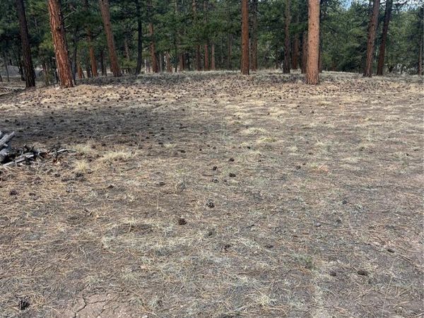 185 Sioux Trail , Westcliffe, CO 81252