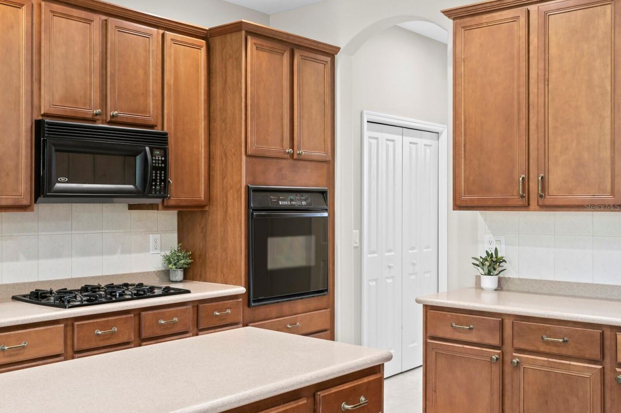 10235 Estuary Drive, Tampa, FL 33647 Photo