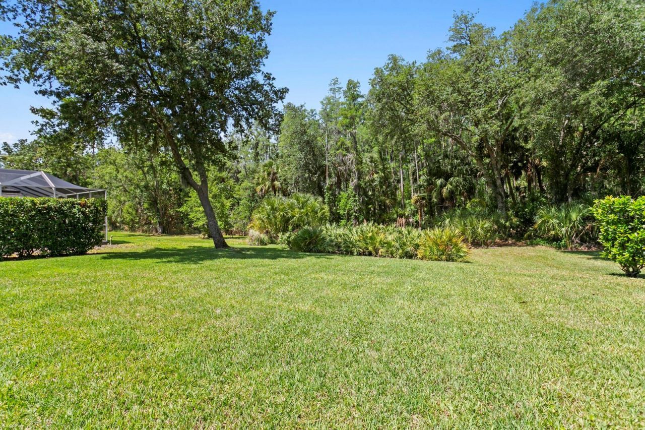 10235 Estuary Drive, Tampa, FL 33647 Photo